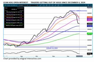 eSignal LH open interest chart 12.23.24