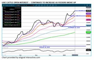 eSignal LC chart on 1.24.25