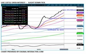 eSignal LC Open Interest chart 1.31.25
