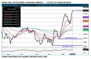 eSignal LC/LH spread chart on 1.24.25