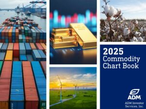 Chart Book 2025 cover