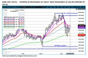 eSignal June LC chart on 4 15 25