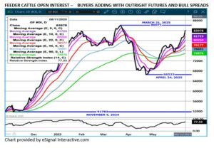 eSignal Feeder Cattle OI chart on 6.11.25