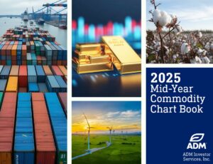 Mid-Year Chart Book cover image