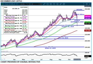 eSignal Dec Live Cattle chart on 10.28.25