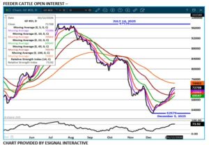 eSignal FC open interest chart on 1 12 26