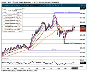 eSignal April Live Cattle/Lean Hog spread on 1.13.26